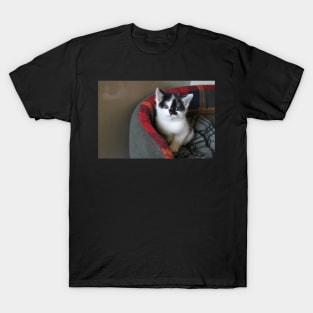 Alone T-Shirt